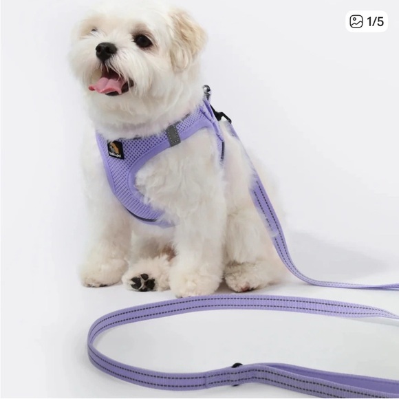 Oxymesh Other - 🫶🏻 Bella & Pal Oxymesh Purple Dog Harness and Leash Set